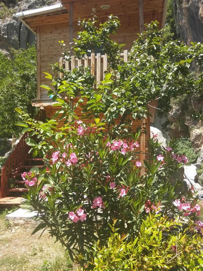 Kapuzbasi Selalesi Bastuerk Dinlenme Tesisleri Hotel Büyükçakır Exterior foto